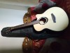 Deviser L2 770A Acoustic Full New Guitar